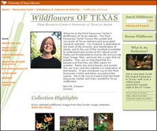 Wildflowers of 
Texas